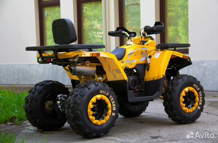 Motoland Wild Track 200 X Pro Желтый