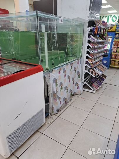 Мясной отдел, живая рыба