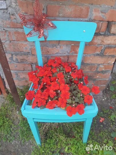 Многолетние растения для сада