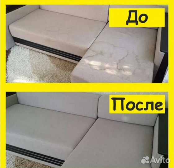 Аренда моющего пылесоса Karcher