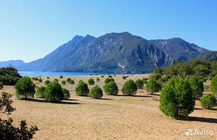 Путевка в Turkey на 7 нч