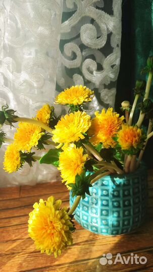 Одуванчик из холодного фарфора