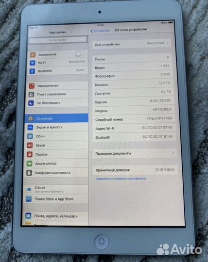 iPad mini