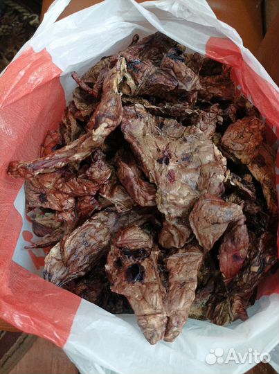 Товары для животных