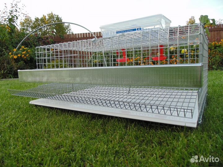 Клетки для перепелов