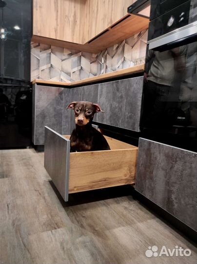 Кухня до потолка