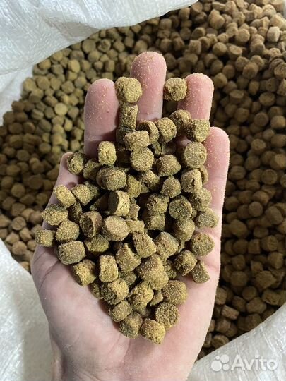 Сухой корм для собак