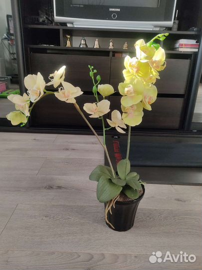 Искусственные цветы орхидеи