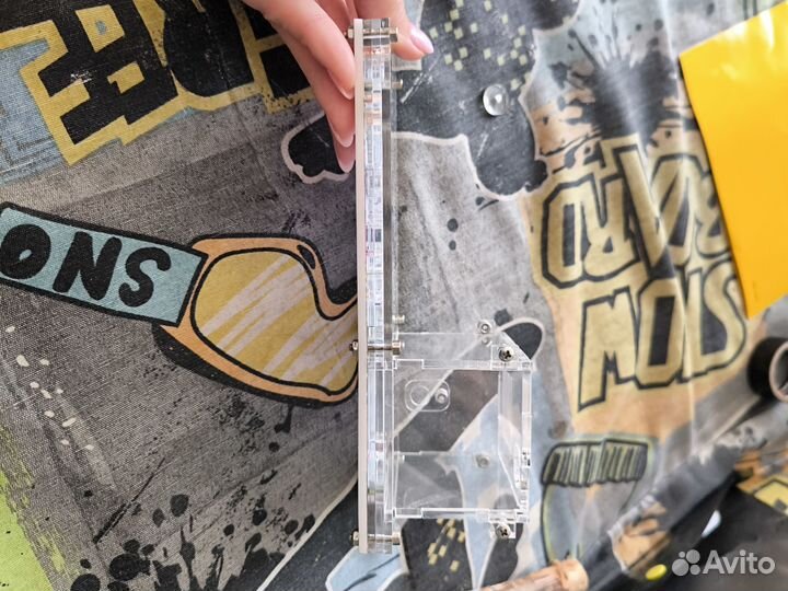 Муравьиная ферма