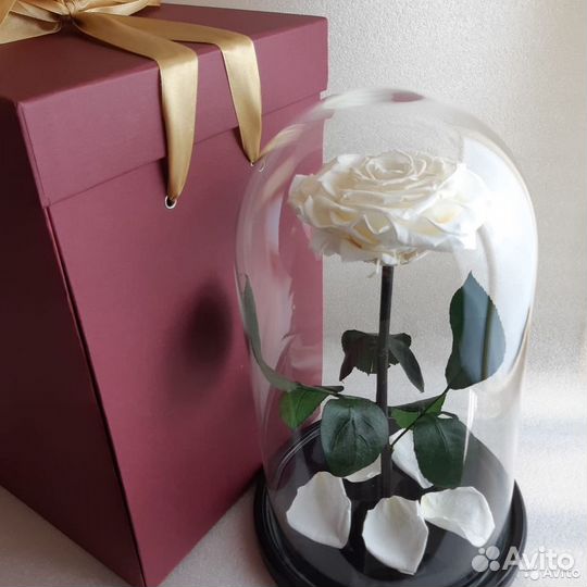 Роза в колбе