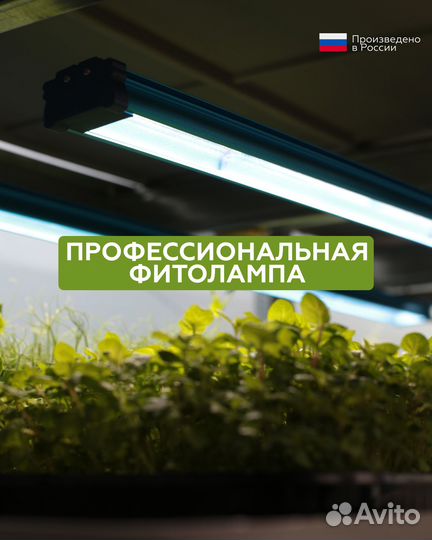 Фитолампа для растений