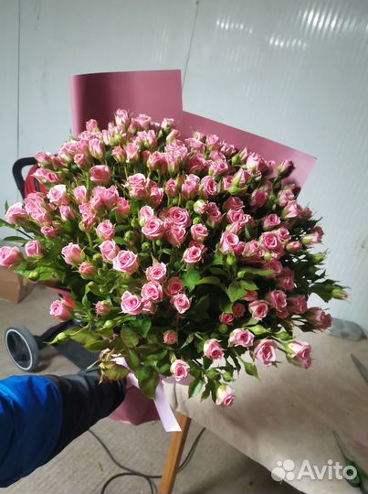 Розы