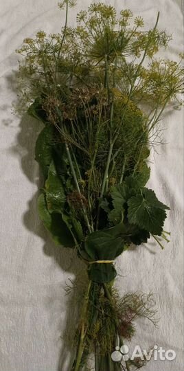 Набор для засолки