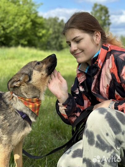 Очаровательный Гром ждет семью