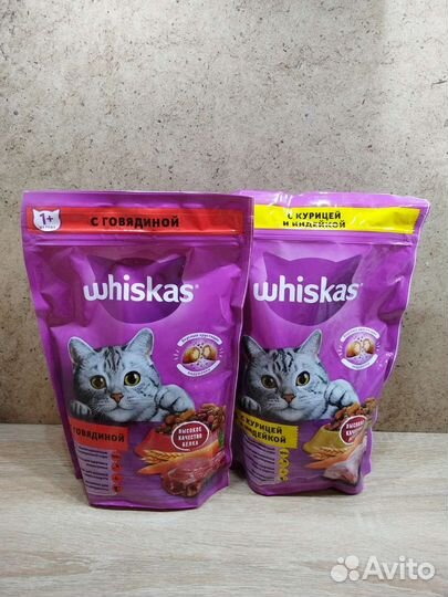 Сухой и влажный корм для кошек котов котят