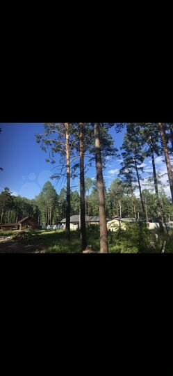 Участок 10 сот. (СНТ, ДНП)