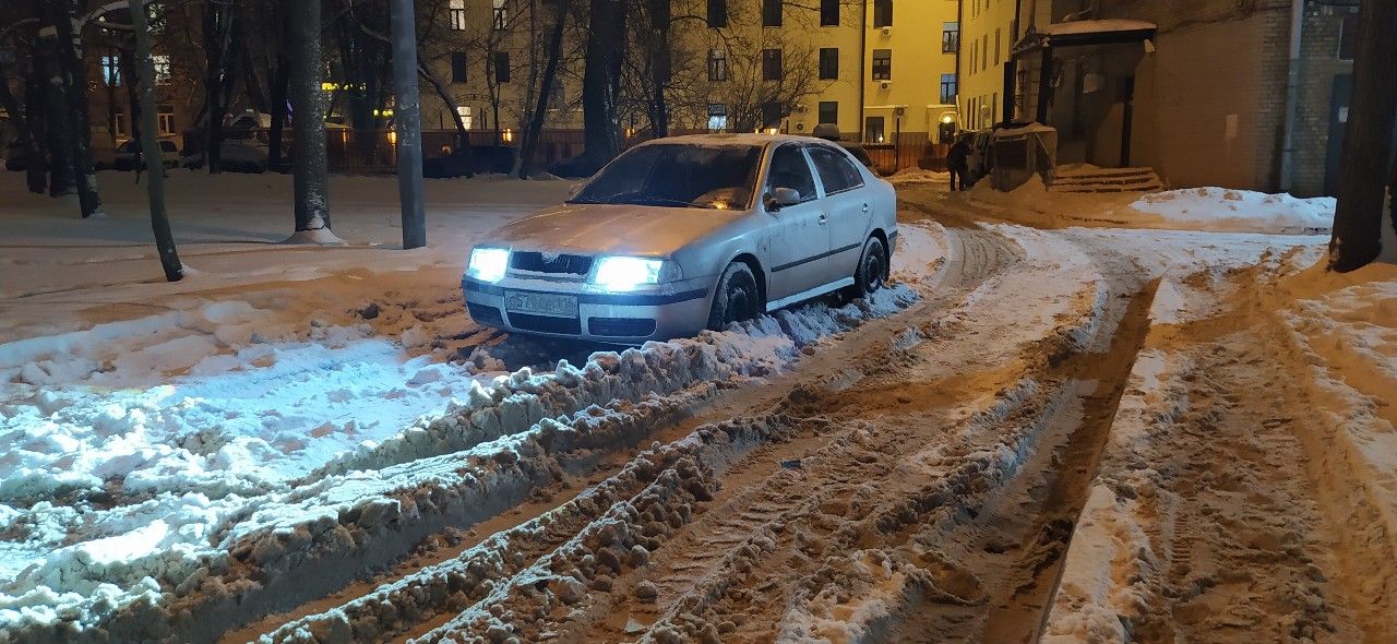 Skoda Octavia: фото владельца