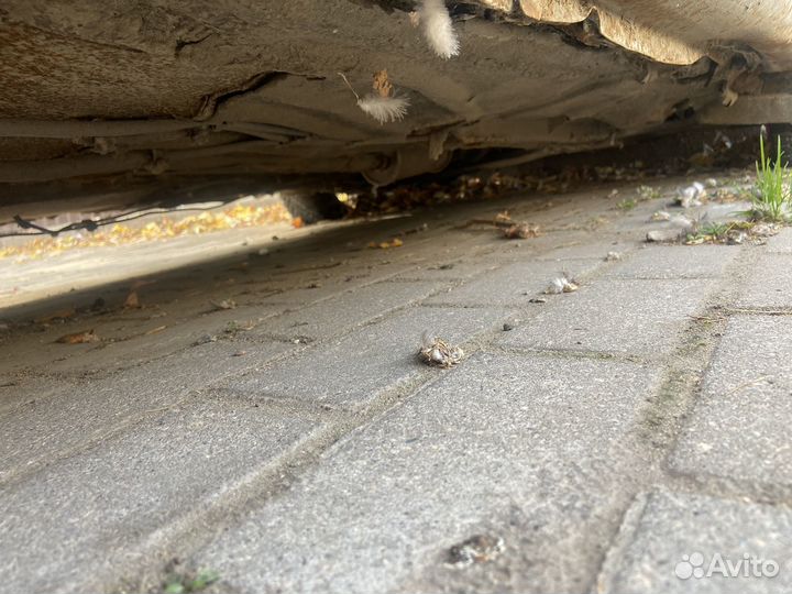 Volkswagen Golf 1.8 MT, 1998, 39000км