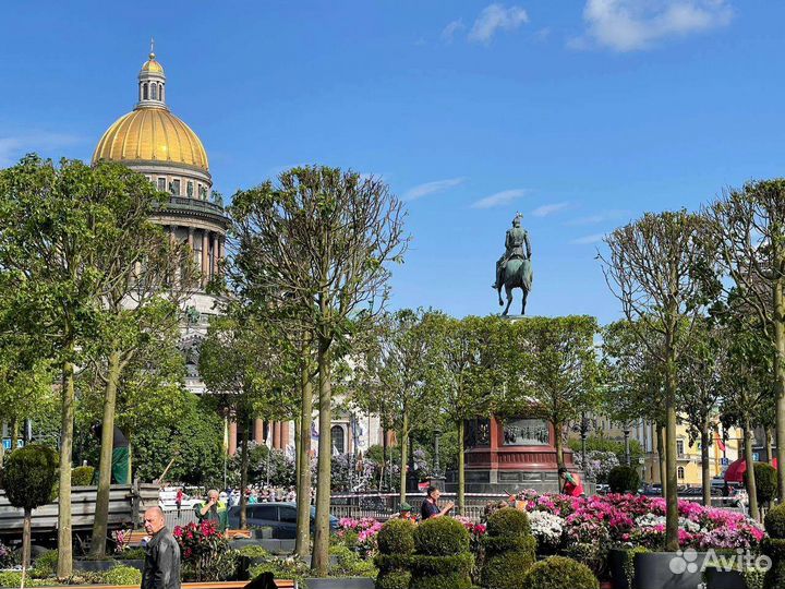 Тур в Санкт-Петербург
