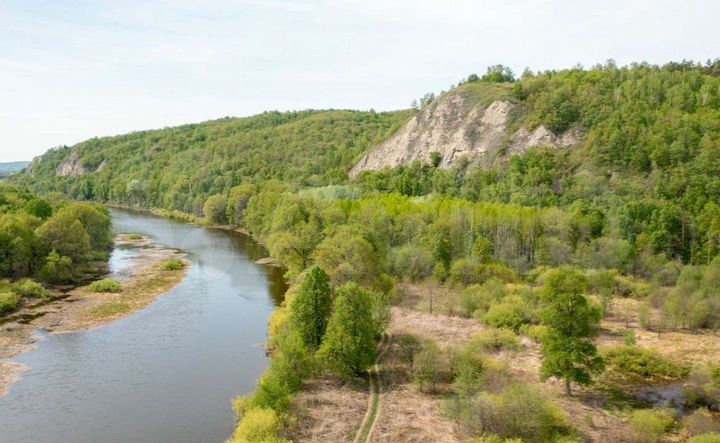 Участок 6 сот. (ИЖС)