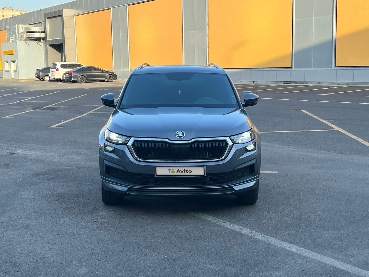 Skoda Kodiaq: фото владельца