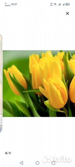 Фотообои флизелиновые