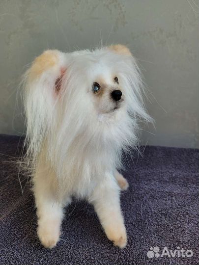 Реалистичная игрушка собака болонка