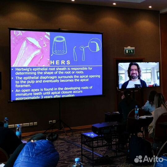 Прокат (звук, свет, экраны, проекторы)