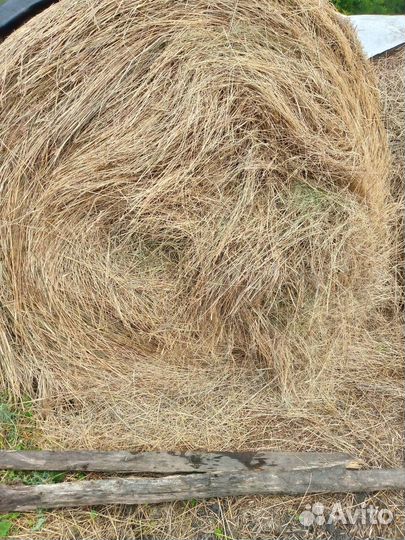 Сено в тюках