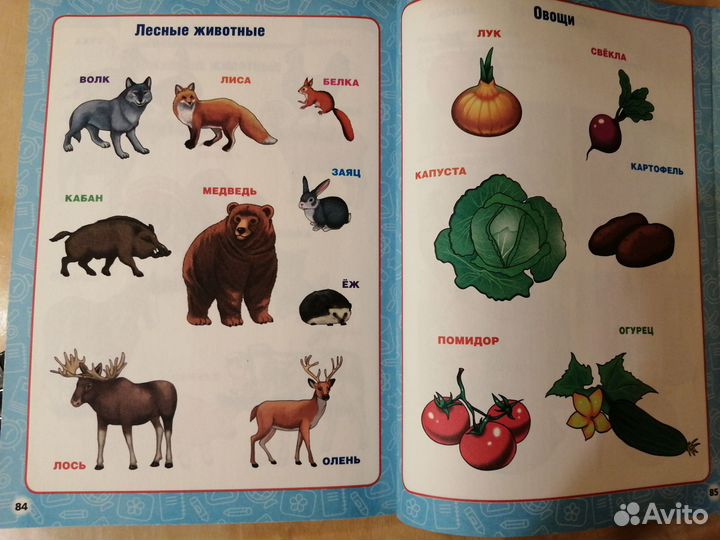 Годовой курс занятий 2-3 года