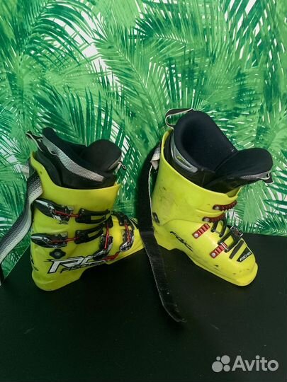 Горнолыжные ботинки
