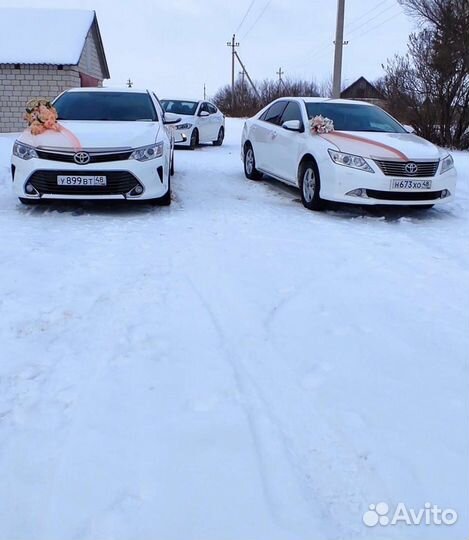 Прокат авто на свадьбу