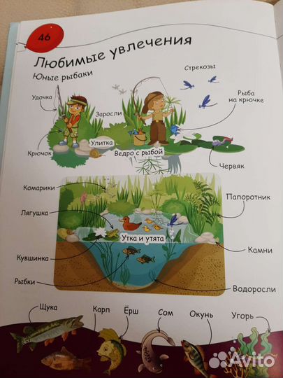 Книга состояние новой