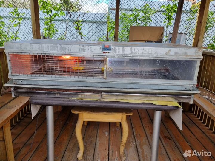 Брудер-клетка для выращивания цыплят, бу