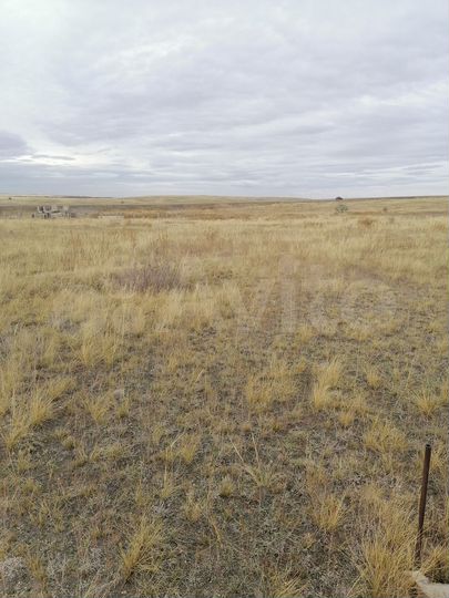 Участок 20 сот. (ИЖС)