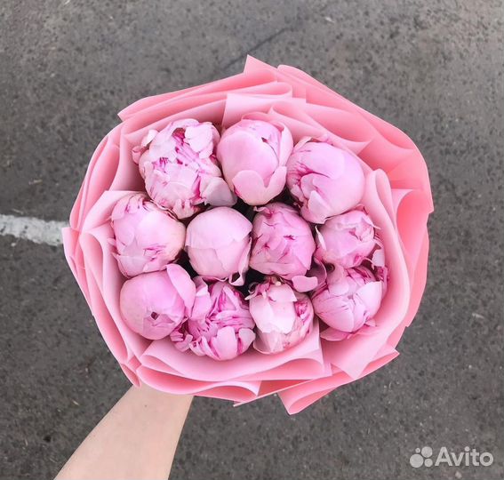 Пионы / Букет из пионов / 9, 11, 21