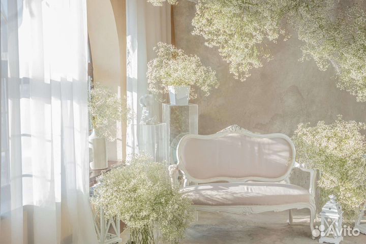 Фотостудия аренда