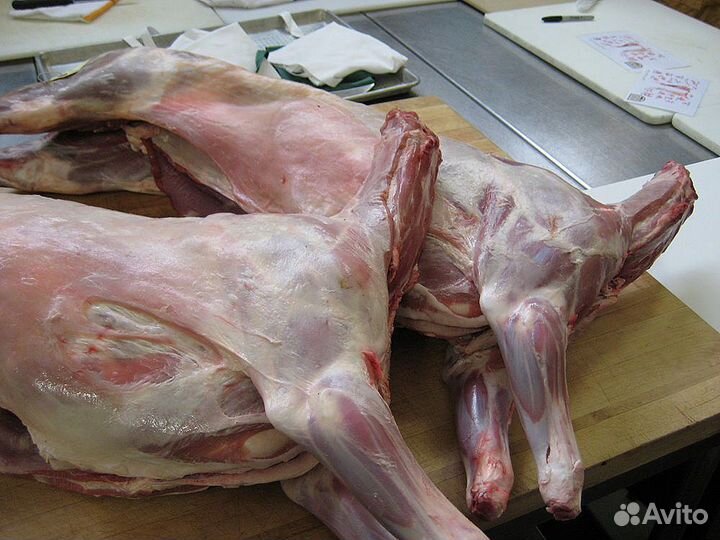 Козлятина с лпх