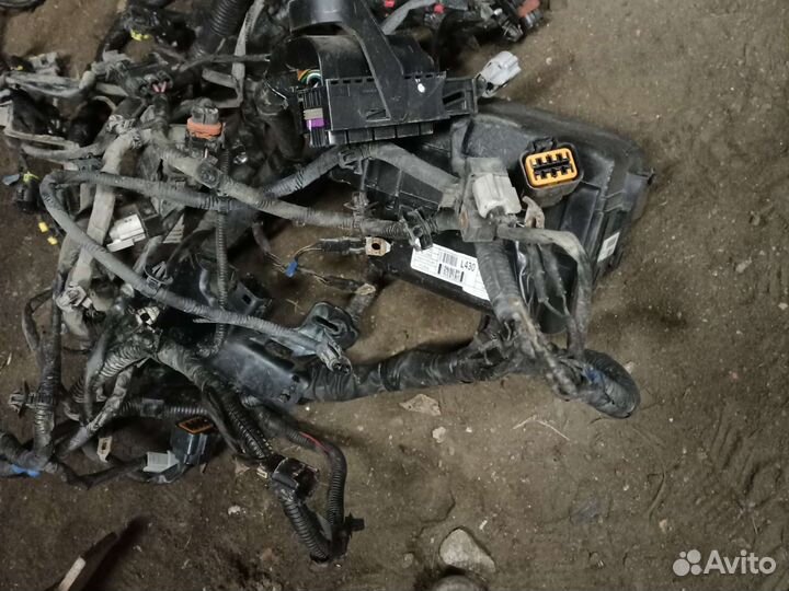 Проводка подкапотная hyundai solaris