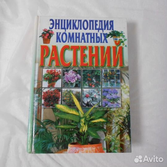 Энциклопедия комнатных растений