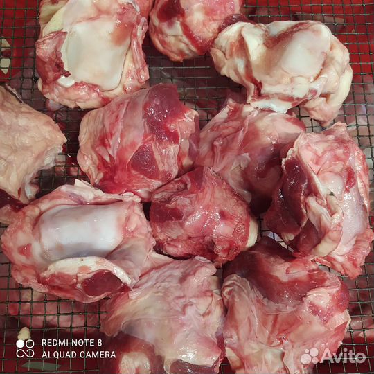 Коленки жилка становая говяжья мясо головное обрез