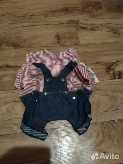 Одежда для мини йорка 3 вещи