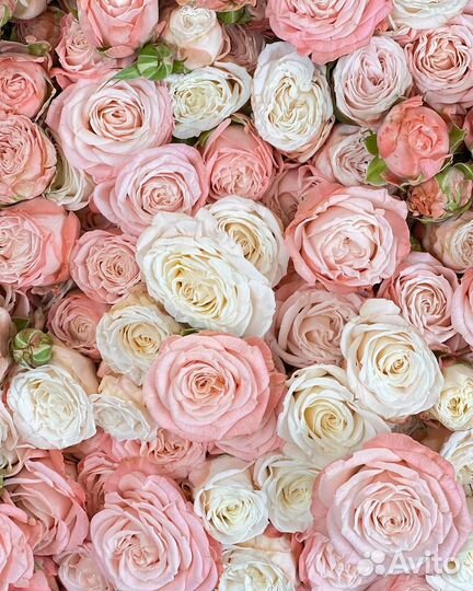 Розы Пионовидные розы Букет кустовые розы