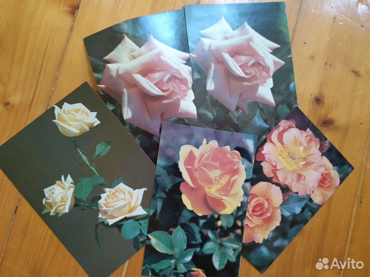 Открытки (СССР) коллекционные