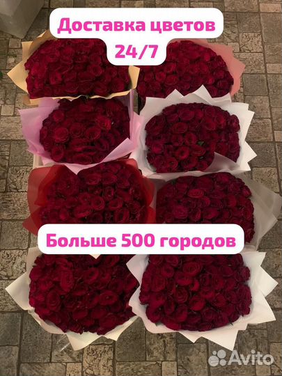 Розы 25/51/101 Благовещенск