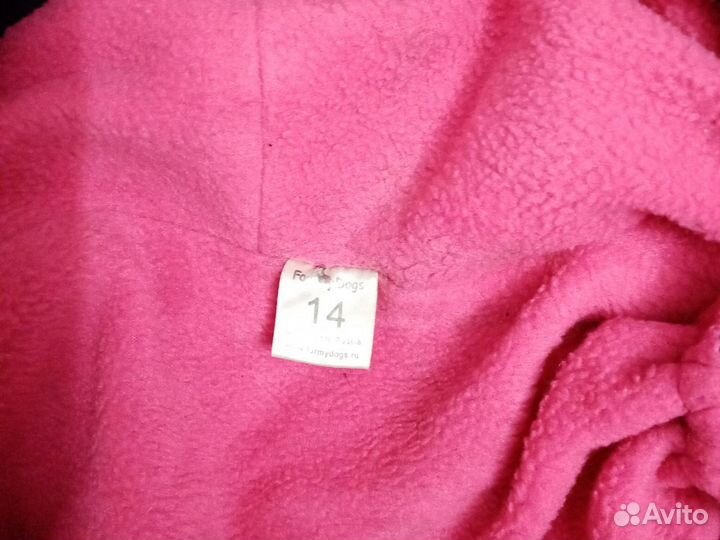 Одежда, обувь, переноска для собак