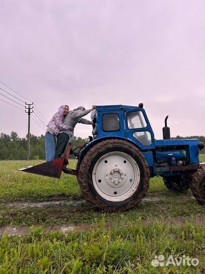 Конные прогулки