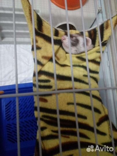 Клетка для хорька бу