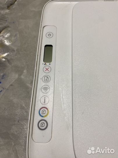 Принтер hp цветной