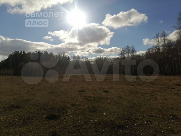 Участок 4,9 га (ИЖС)